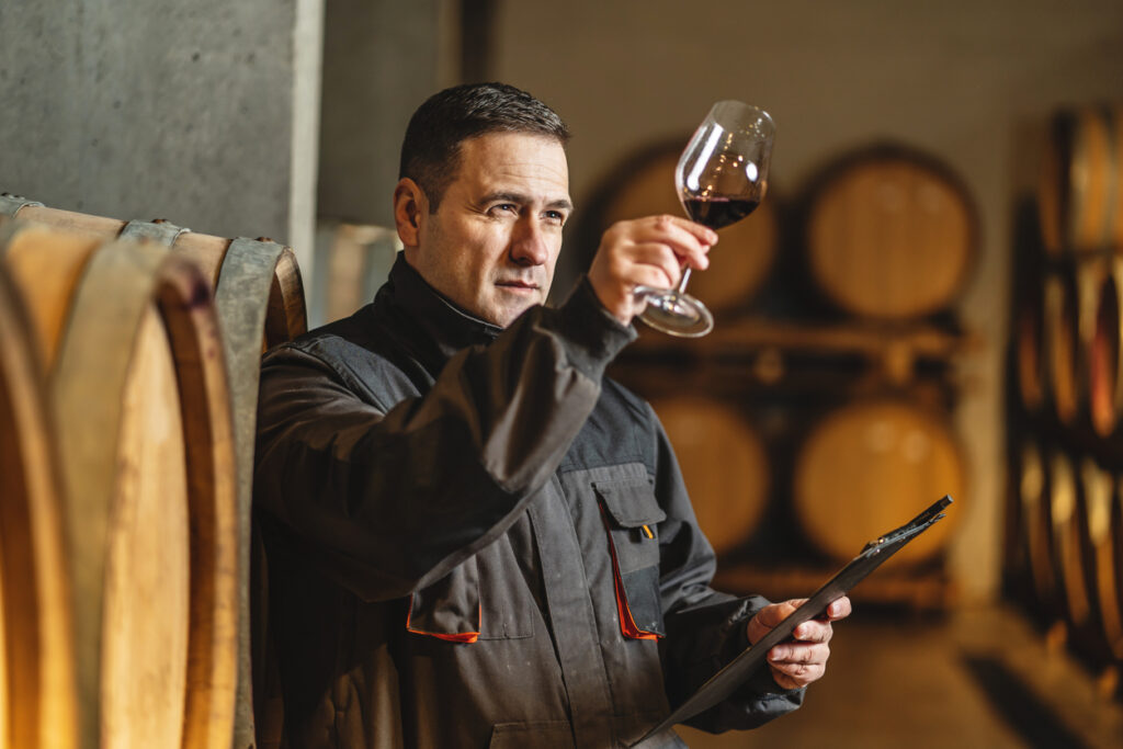 Behind the Scenes of the 2012 Vintage at Stonehaus