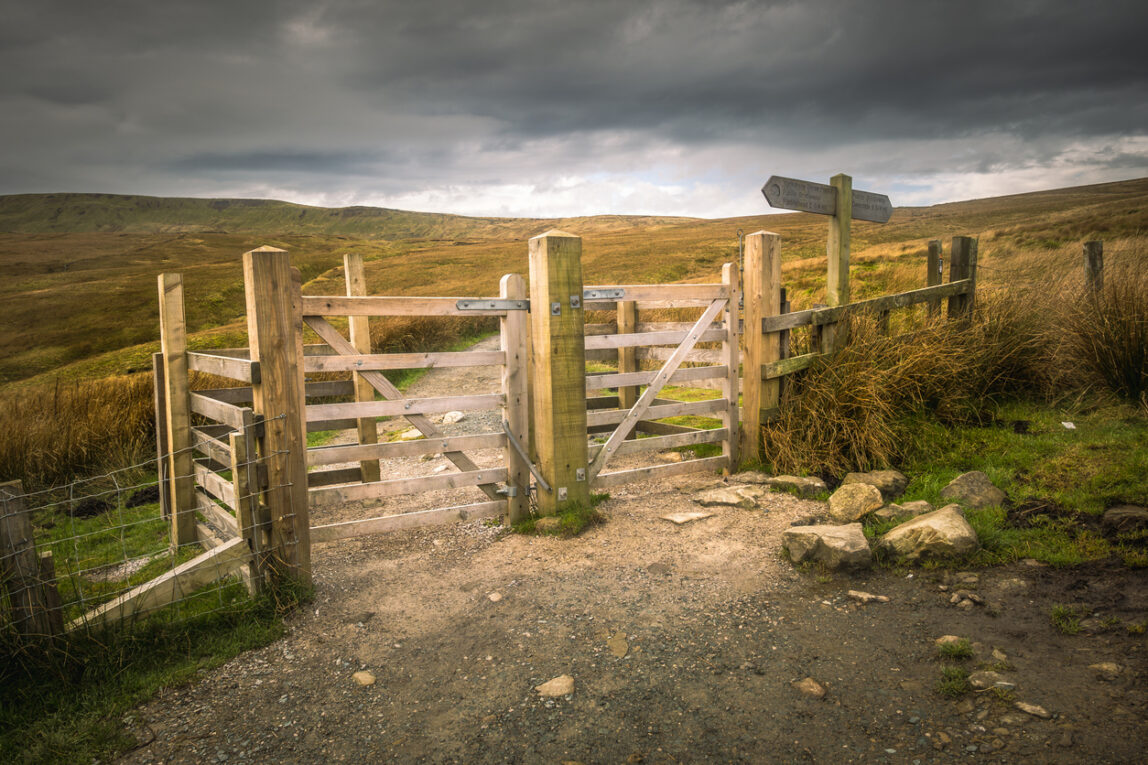 Legal Remedies Available for Trespass to Chattels Victims