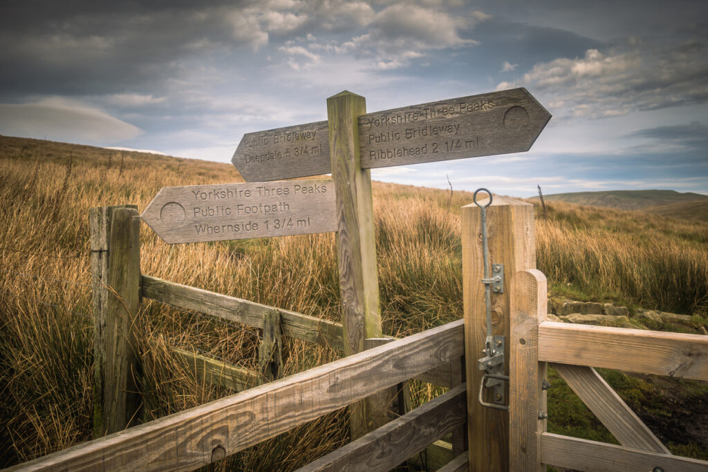 Legal Action in Trespass to Chattels Cases